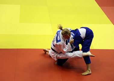 Ζωηρόχρωμα Jujitsu υψηλής πυκνότητας χαλιά τζούντου ανταγωνισμού και κατάρτισης πολεμικών τεχνών Bjj